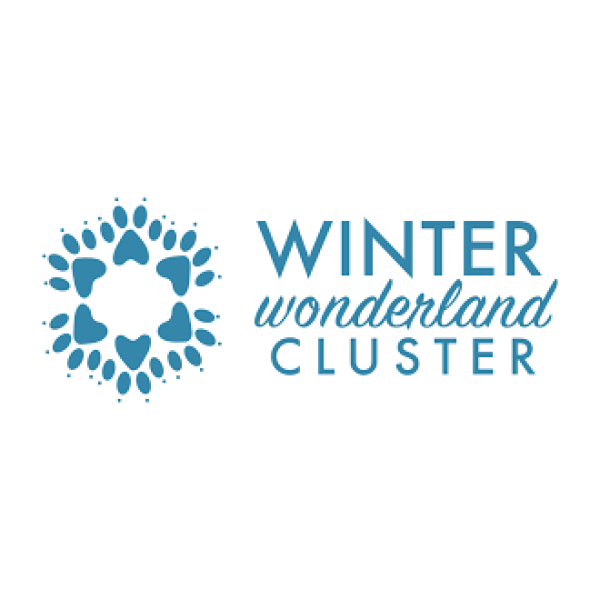 WINTER WONDERLAND CLUSTER 2 PASSENGER UTILITY CART  11/20/2026 – 11/30/2026 …..ALL CART PICK UP’S ARE BY APPOINTMENT ONLY. CALL 478-954-3107 FOR PICK UP