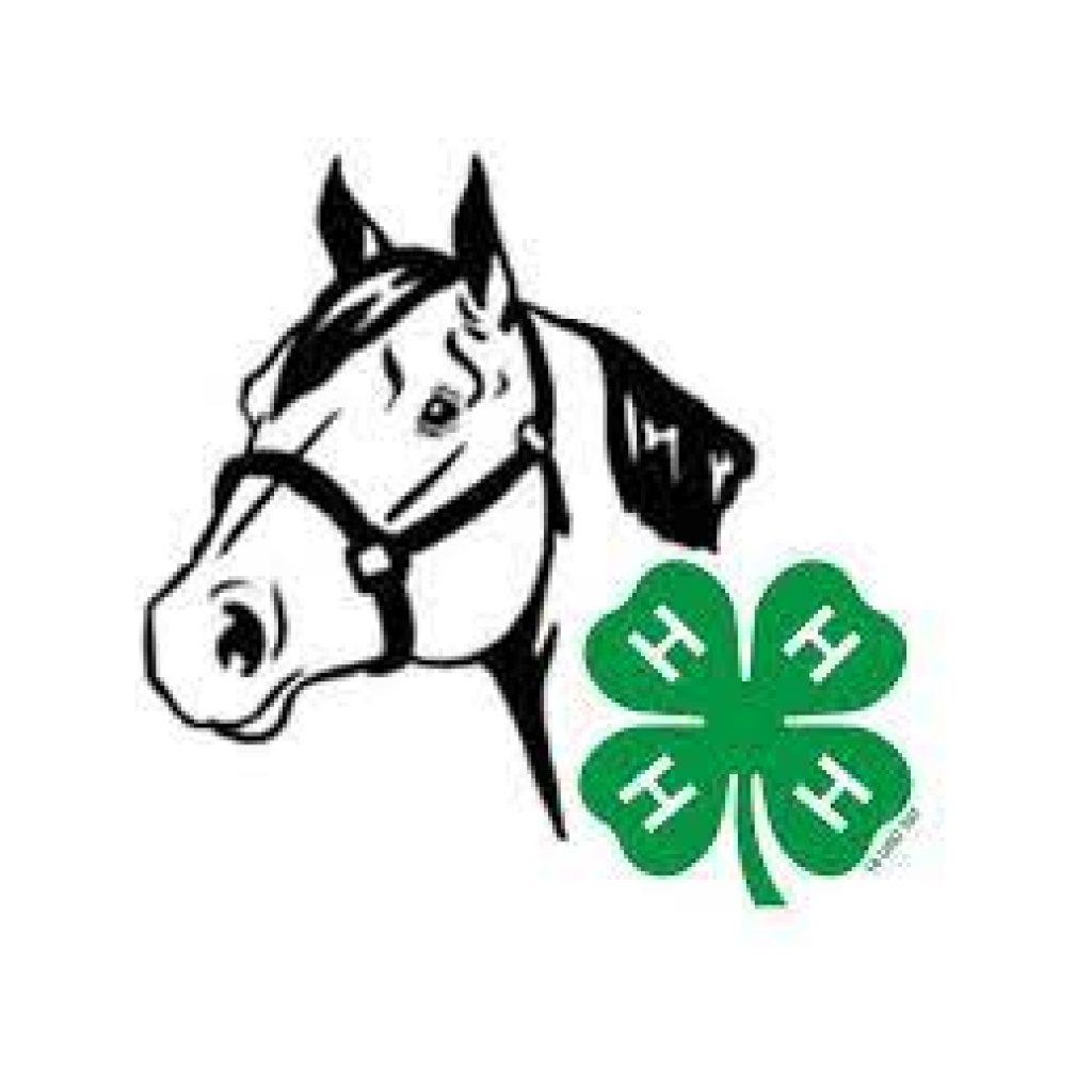 Georgia 4-H State Horse Show June 3-6, 2026 6 PASS CART RENTAL